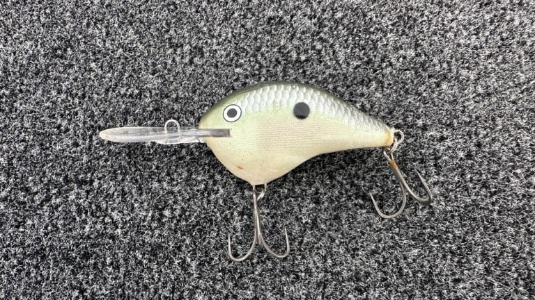 本場アメリカの「夏のバス釣り」【現地で戦うトッププロ・深江真一の